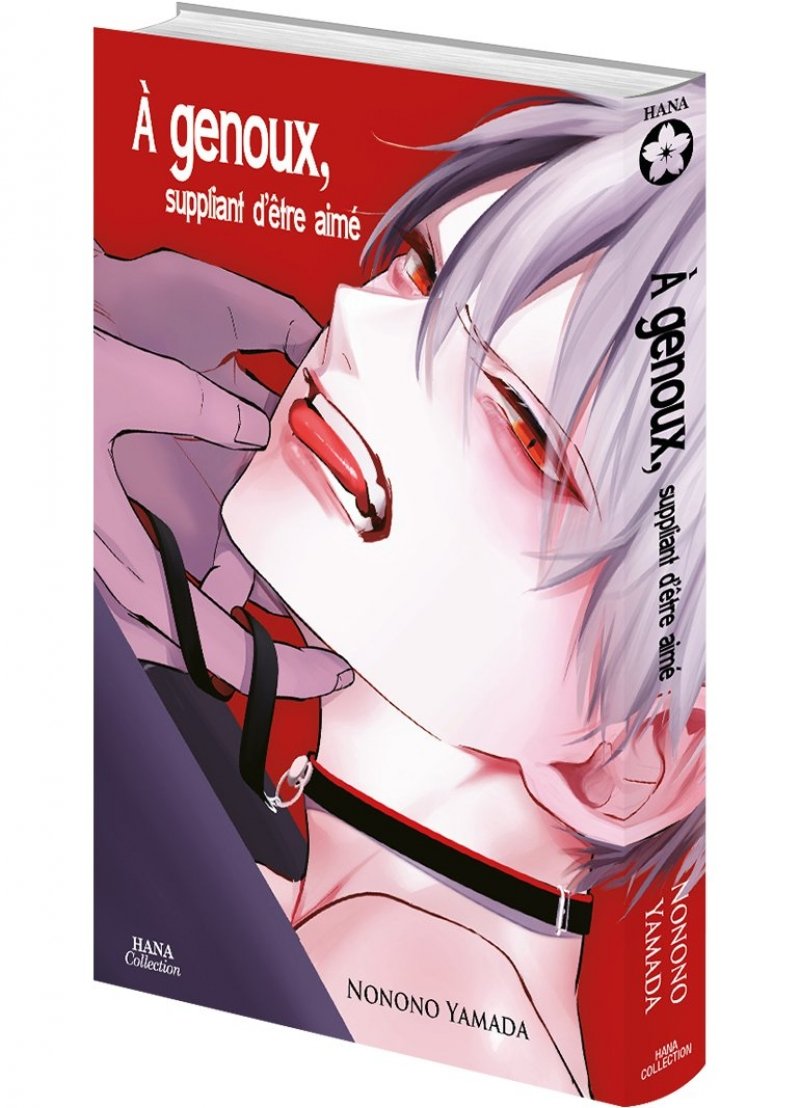 IMAGE 3 : A genoux, suppliant d'tre aim - Livre (Manga) - Yaoi - Hana Collection