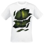 Tee Shirt - Hulk Body - Homme - Marvel - Cotton Division