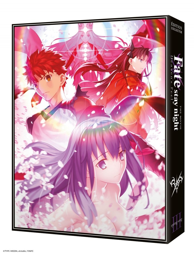 IMAGE 2 : Fate/stay night : Heaven's Feel - Film 3 : Spring song - Edition Collector - Combo Blu-ray + DVD