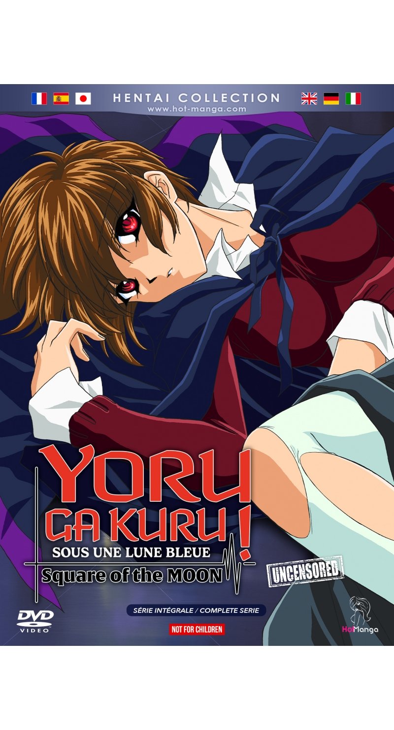 IMAGE 3 : Yoru ga Kuru! - Square Of The Moon (Sous une lune bleue) - Intgrale (Hentai) - DVD